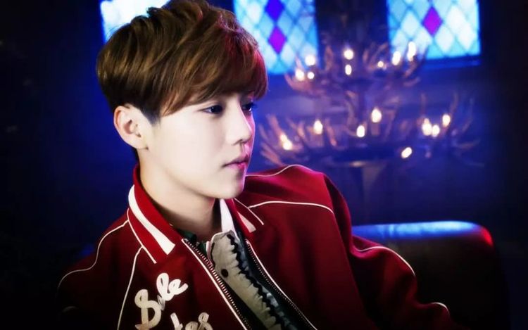  高芙美网青少年组封后，新生代天才备受瞩目